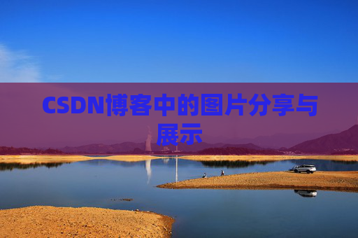CSDN博客中的图片分享与展示
